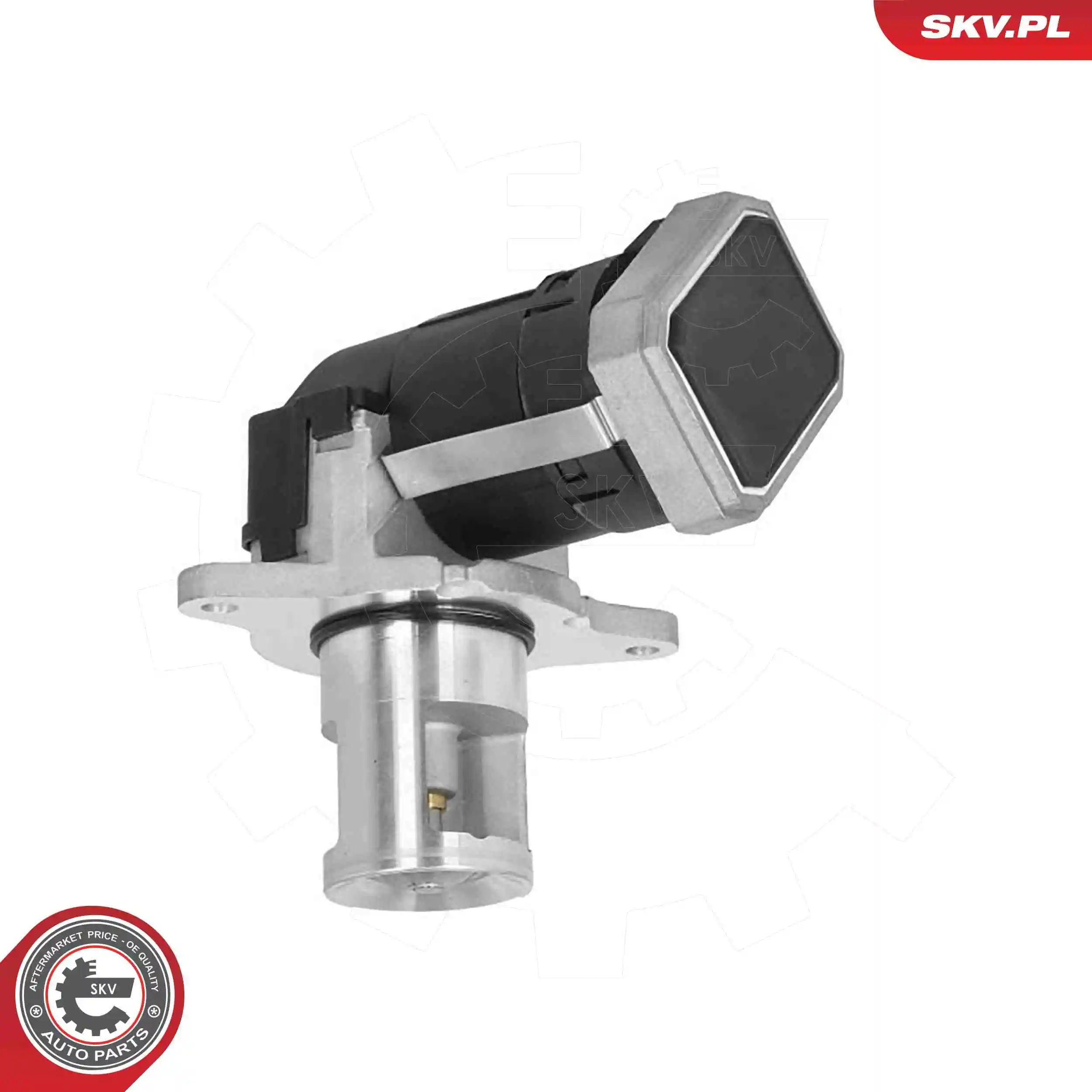 EGR Valve